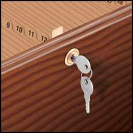 Picture for category Cabinet Security